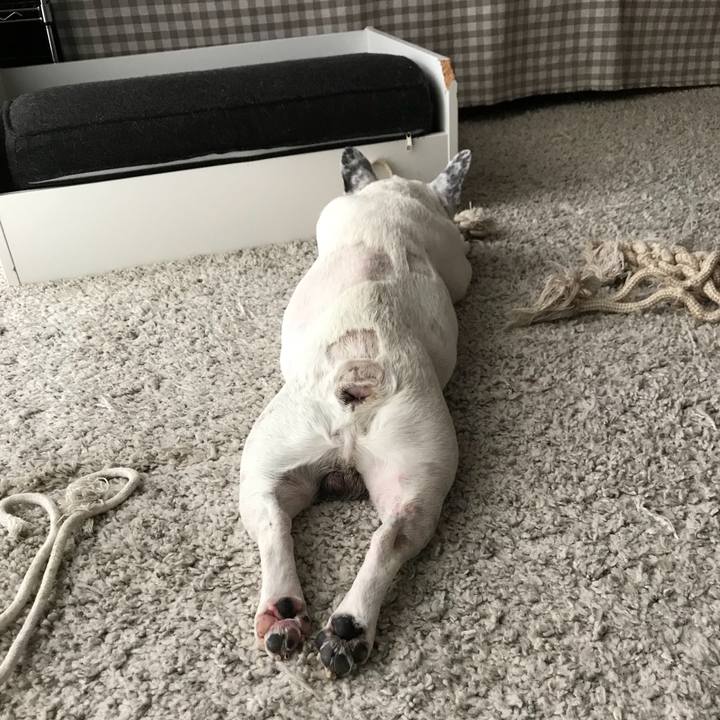 C632d758 ec5c 46ab b8dc 8d1e127e2bc3 1538012458710