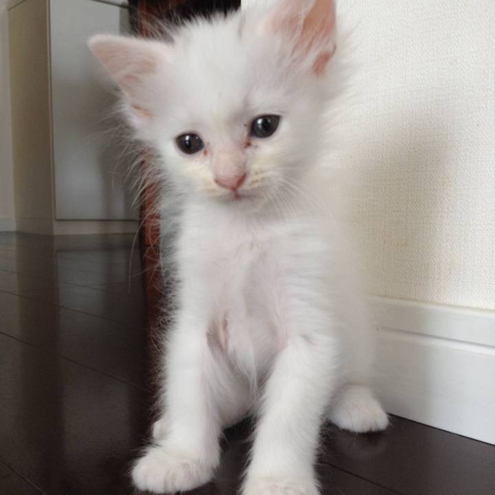 C63304d1 552a 467a b9ac 351b108636f2 1535150800412