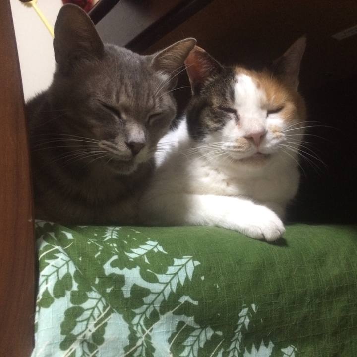 C6331fcd 37db 4143 b622 cc378320d771 1528903459498