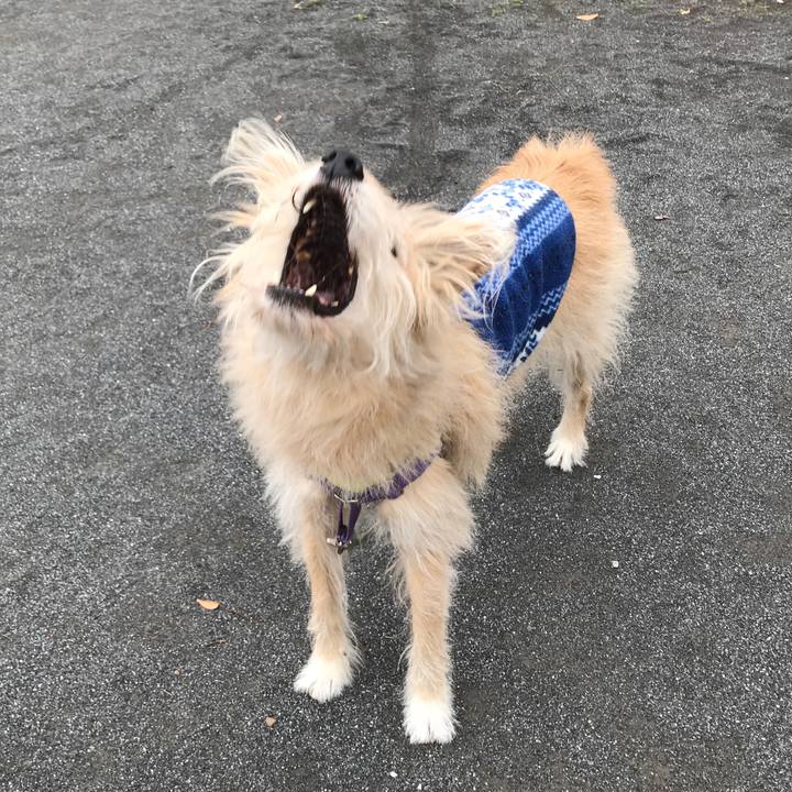 C63350b7 2f93 4362 9346 41188b698114 1576736176007