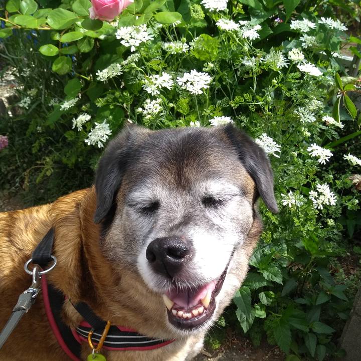 C6337d4c b96d 4b34 8e41 7318923035c6 1557964132369