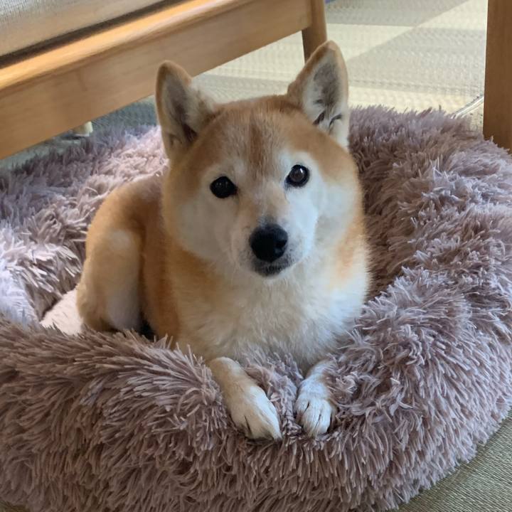 C633b9a4 9fce 4b6e 99d8 52bce4ee8c1a 1669556684184