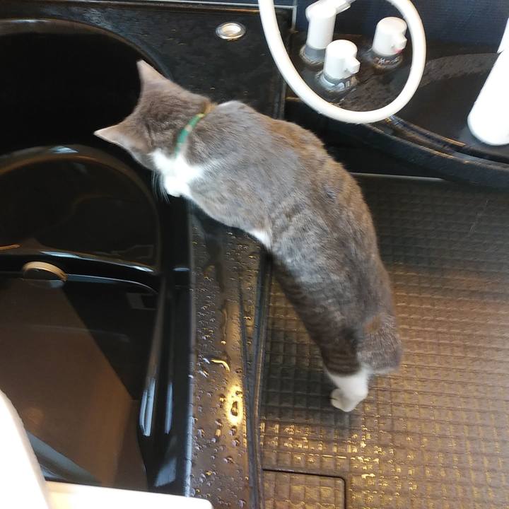 C633d04e e80b 473b a394 d67499620c80 1578698755965