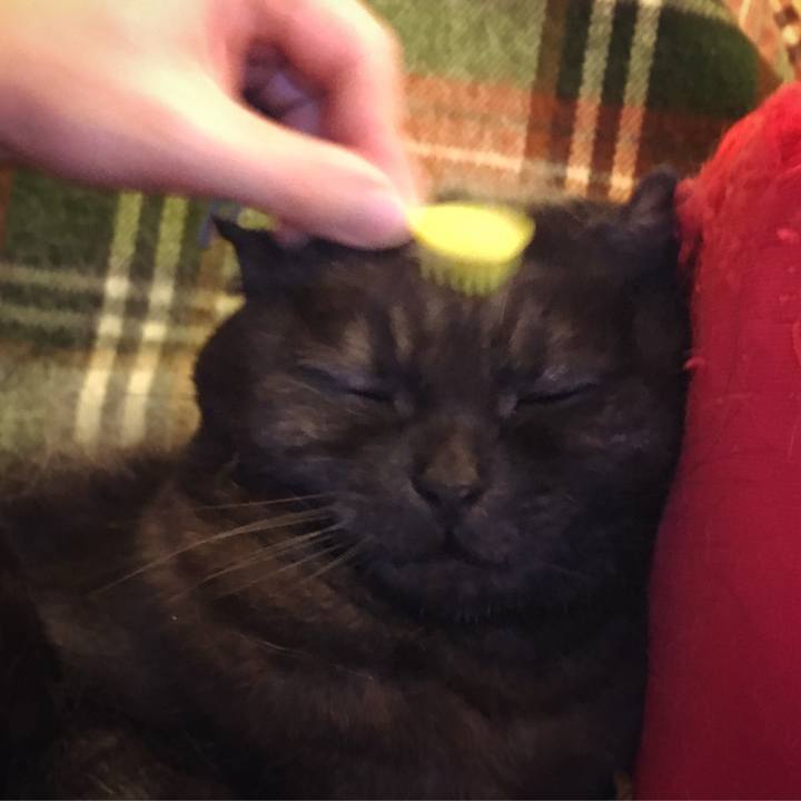 C633d4bb 14e1 4444 a076 a2982c650920 1523886813847