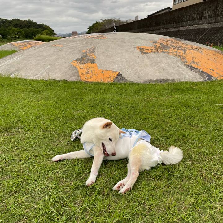 C633e3f0 2822 4dc7 9471 110f2c126497 1663488430721