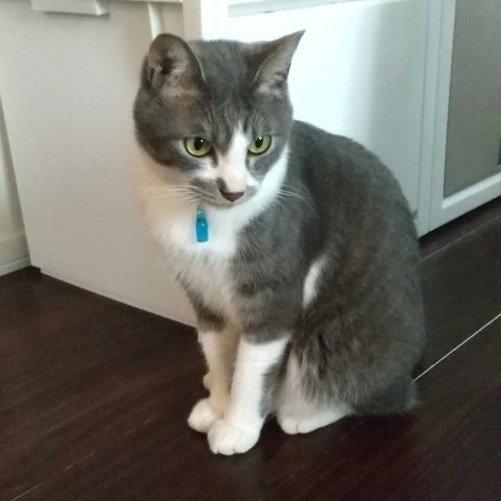 C633f6d8 5ea7 4e34 9116 529328a8a464 1622498070677