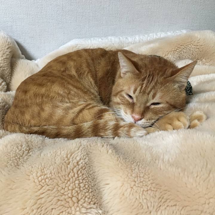 C6340145 37f5 4686 b7dd 1b0bace55e48 1548671575667