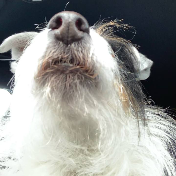 C6340449 73eb 4e5f 8d77 7a0fe9fdd370 1647658894494