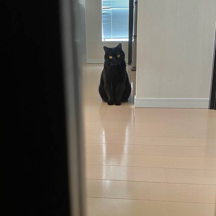 C63449f7 3bd1 4361 8910 677d7c60ffab 1680758484003