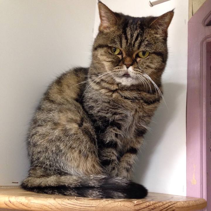 C6347072 6470 49ac b12b f50a52ac3ab8 1512780771799