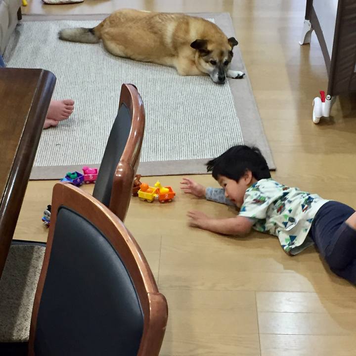 C634929f 6796 4cb9 bfad ac037c6ba678 1527724426624