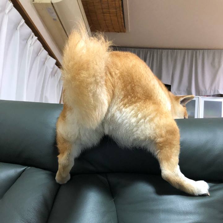 C634bf67 2653 421f bc01 0f4104df704b 1568890011740