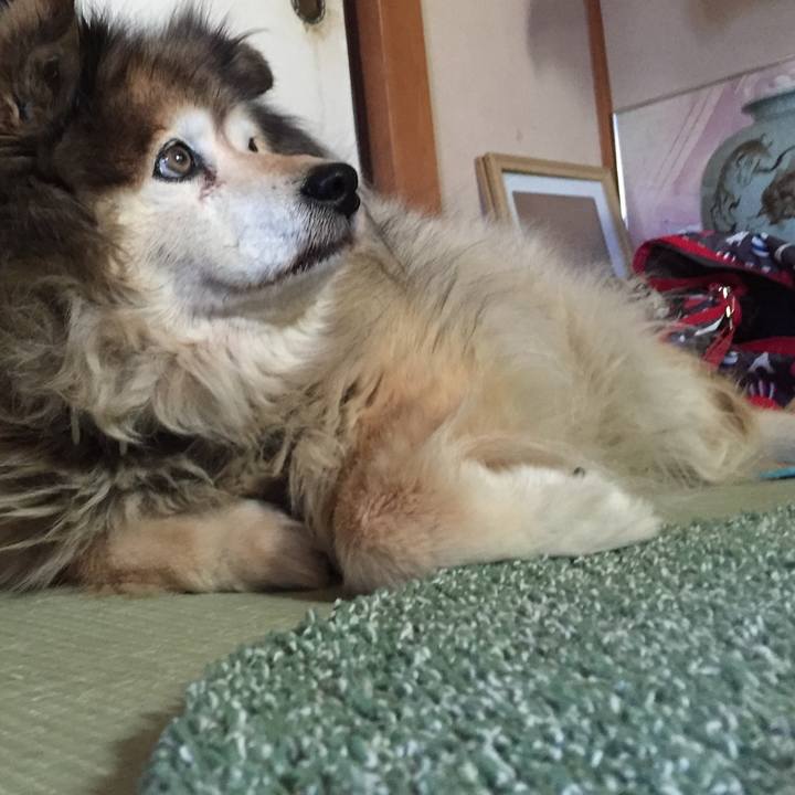 C634e175 75aa 4f20 bae4 3cbef9e81aa2 1608084218297