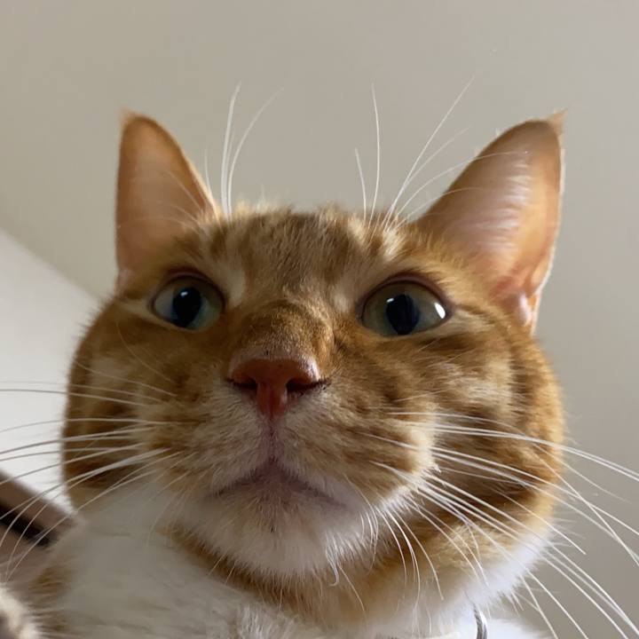 C63526c6 6cf3 47f2 88be 61dd152dac1f 1667910239165