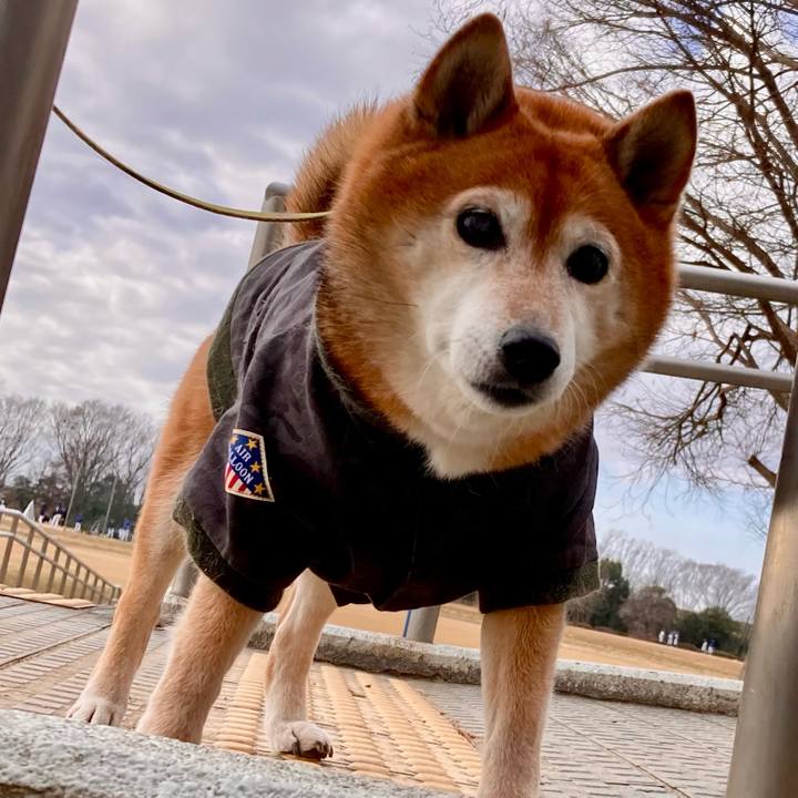 C6354c96 3af2 4054 9bf3 ae0fb408d58e 1674362763377