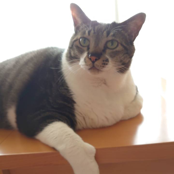 C6356c2d 1cc1 477d b038 ced9b4122e4e 1591315180726