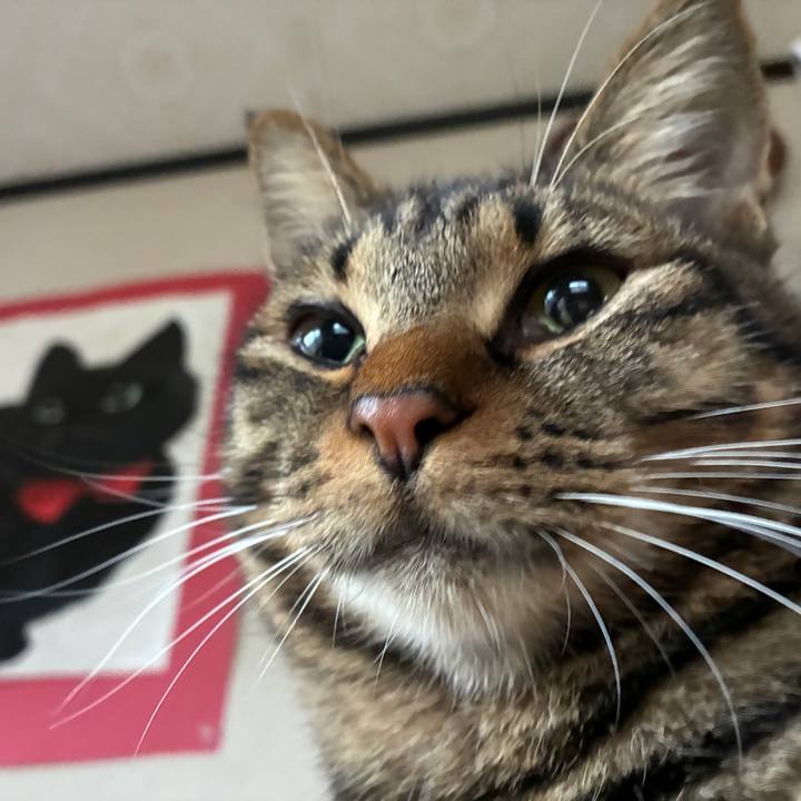 C6357dd0 a8e0 45ef 9fcc 206082f8c543 1760762927195