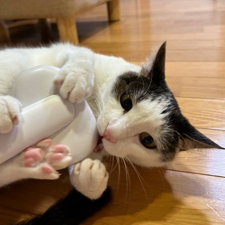 C6359382 7918 4cef a7a9 eb425d5dab7b 1720262140839