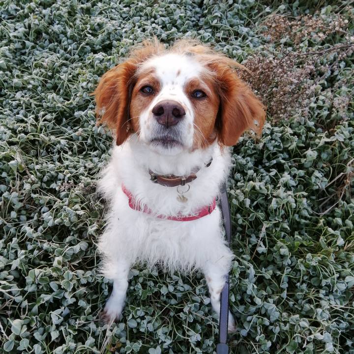 C635ac62 1a8e 4dbe ad9d 9ea01042030f 1575939096257