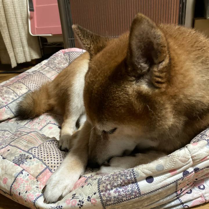 C636136e 8d0b 463c 9a14 ab85c66049a1 1665134225620