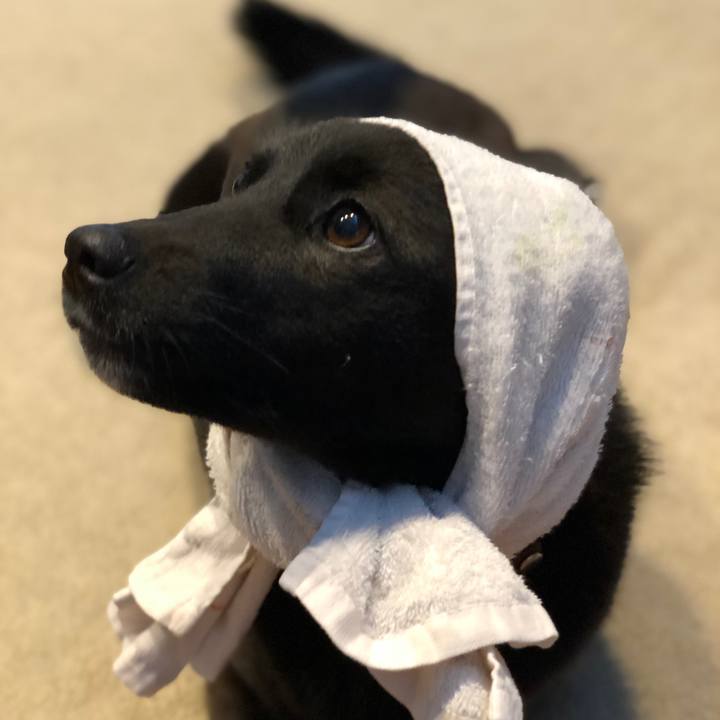 C6362052 2b1e 4f06 a679 ebaaff4bba42 1588543850386