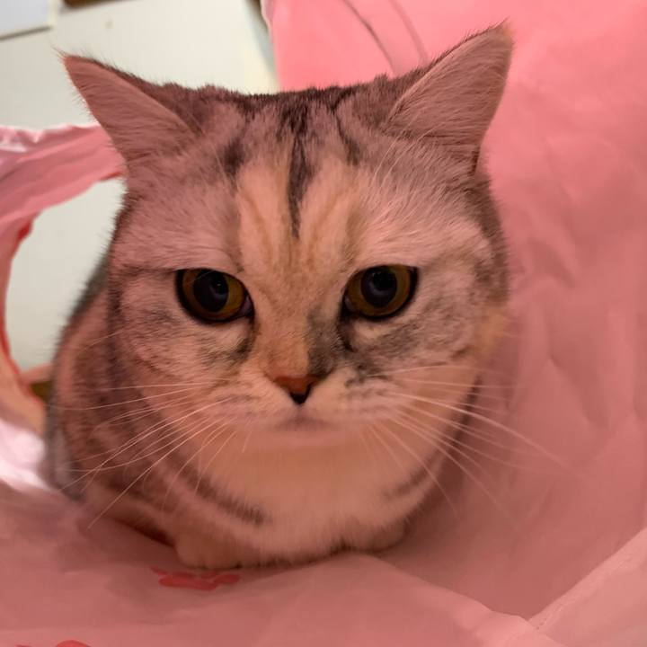 C636269d 8423 4b44 bcdd 6b52428add90 1705442202535