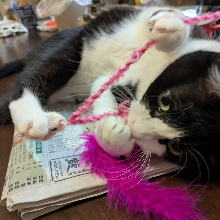 C636326f 3763 429b 983a 5fe9caaf5b16 1758363379861