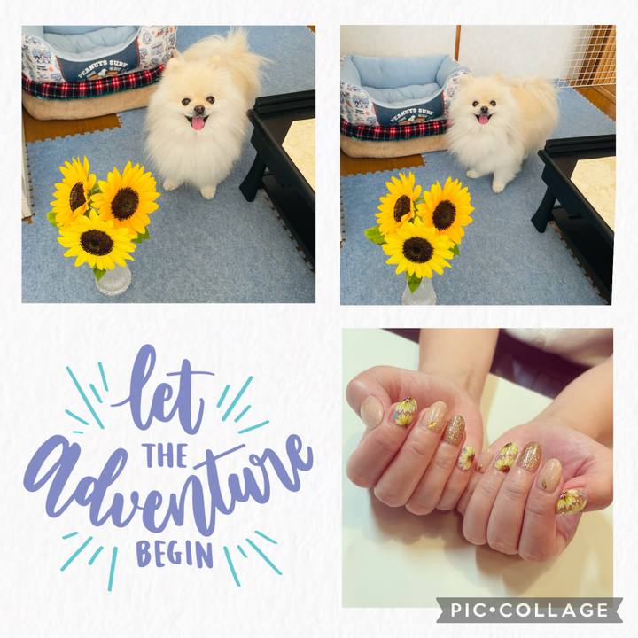 C6365387 0f20 4010 9f7c e4bc0b3c1ca8 1626850293968