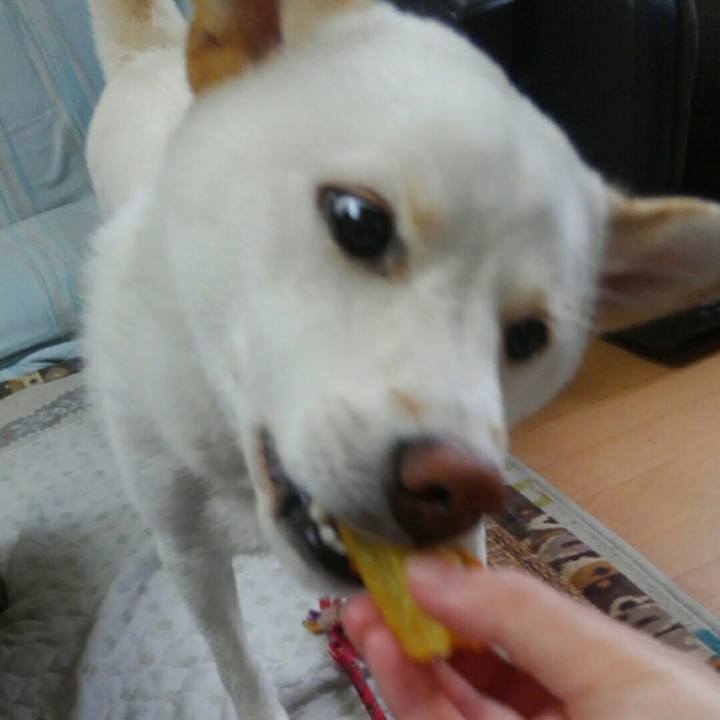 C6365663 1d81 4628 b62d bca4374c213f 1508656591284