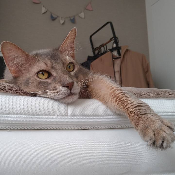 C6365994 ab03 437f 8c73 53dfd05fcdb9 1604556562222