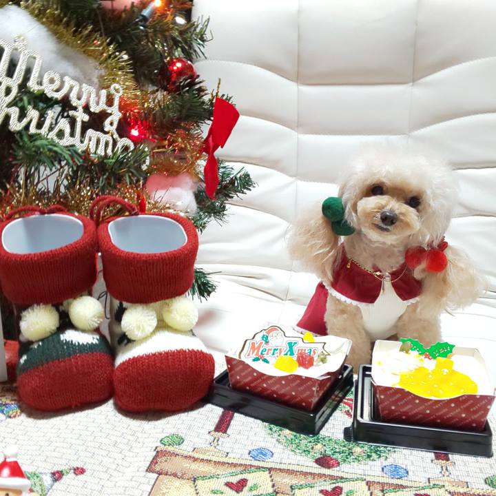 C6366695 a3c1 4f2a 8c93 6d3915c9bbf1 1672054923740