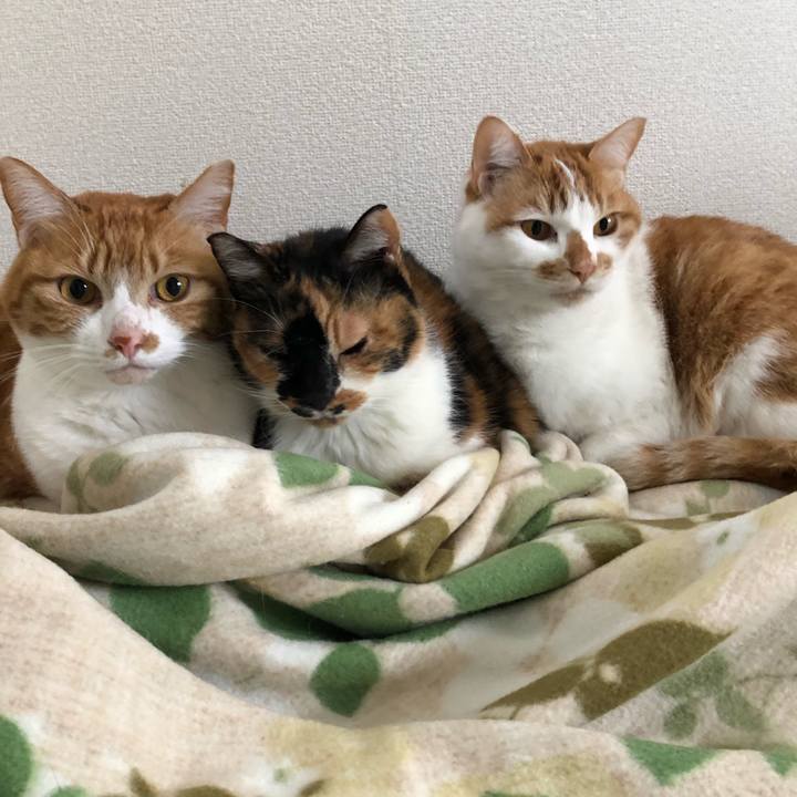 C63681bf e290 48c1 a454 f962ac96cf84 1613652663402