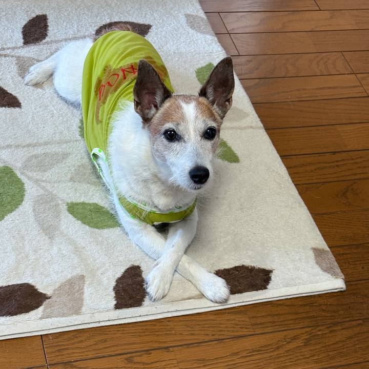 C636c01d 49b9 4c5b bb73 58e41888916b 1753399220539