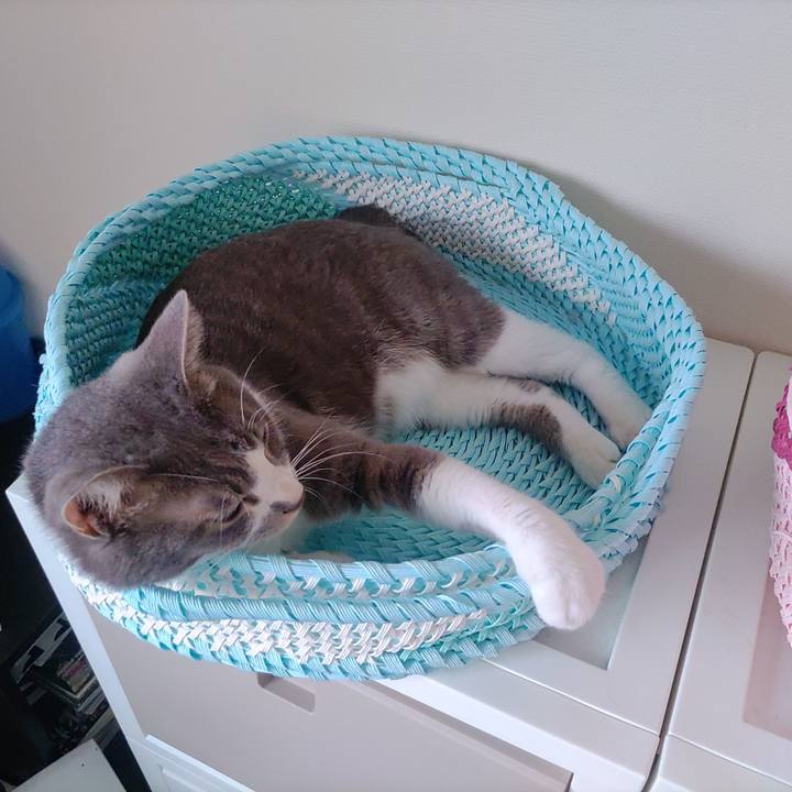 C636ce09 863c 4c1b b7bc 416c1ed7a9c4 1662677912100