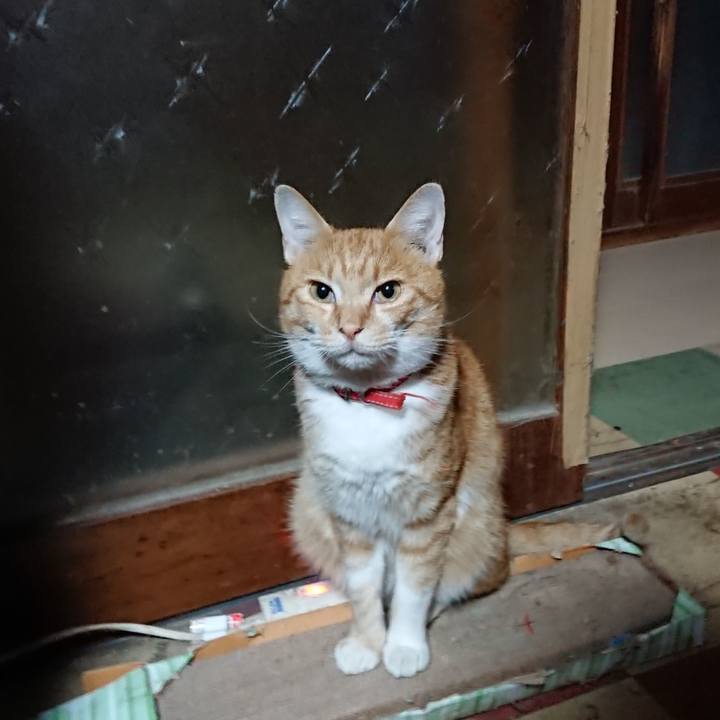 C636cea1 8c22 4f37 974d 6ce73cfe41ee 1570914220083