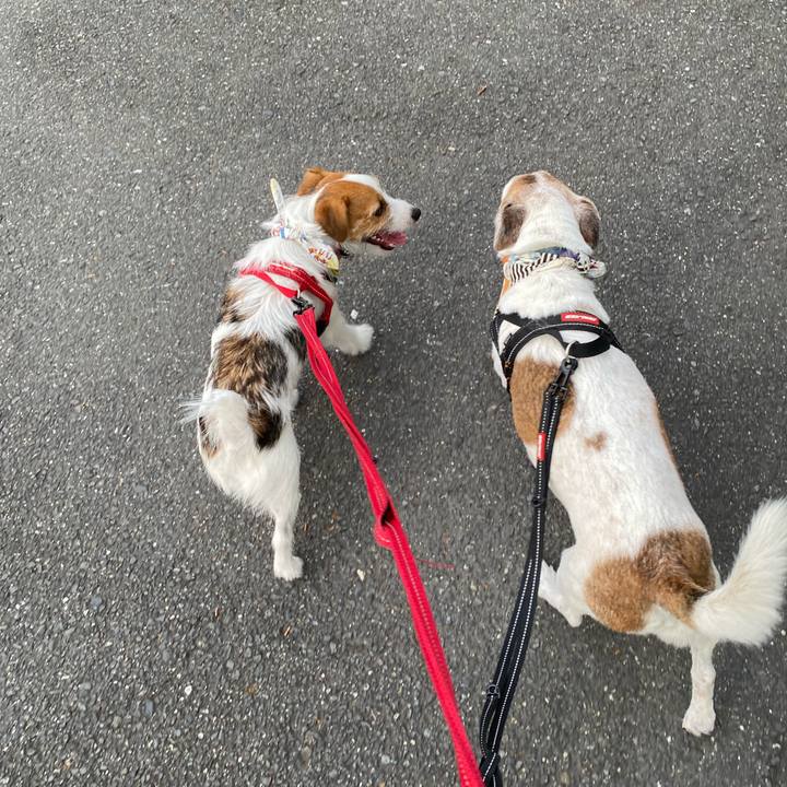 C636d048 e530 4f38 9271 6d1455e365b1 1628283836743