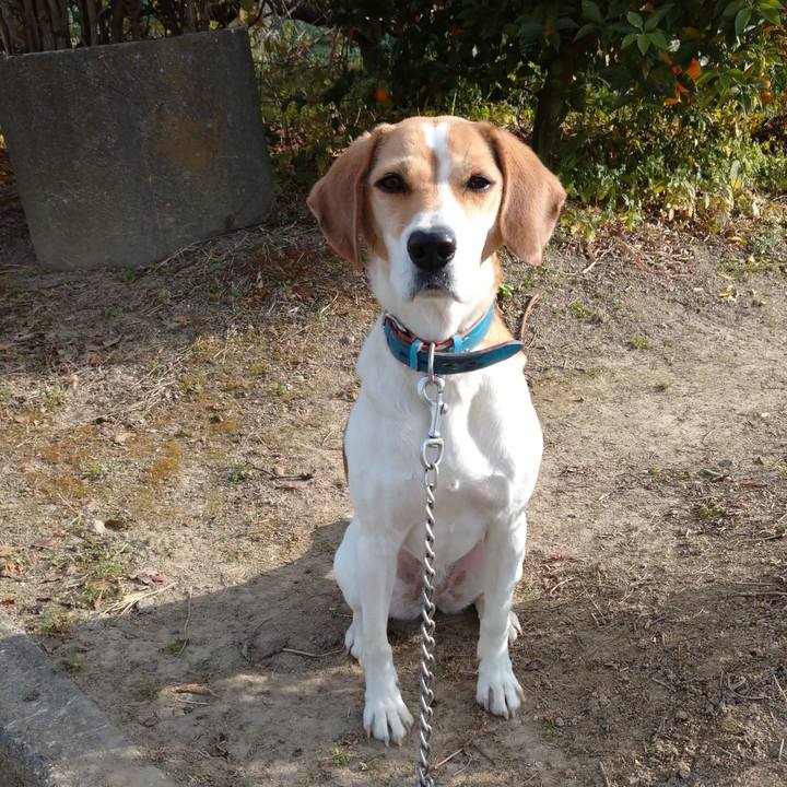 C636e641 c8ad 4d55 817a 25f1f38069aa 1607495507107