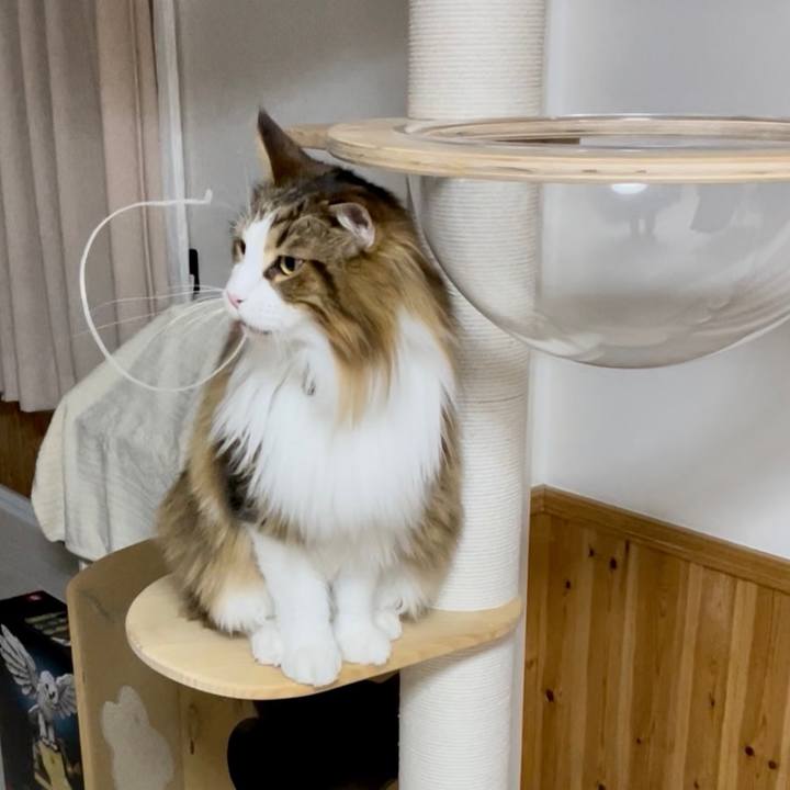 C637163a fb2c 4c47 81bf ef8e9c576e02 1675977846354