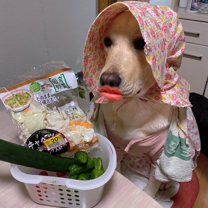 C6371db7 ed3d 4348 94c6 2b2945761a75 1656156459864