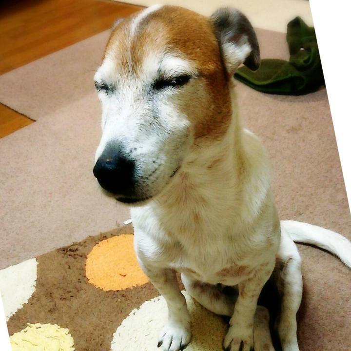 C63735ee 9ab3 47de adb6 1aa2b85e2811 1516226635025