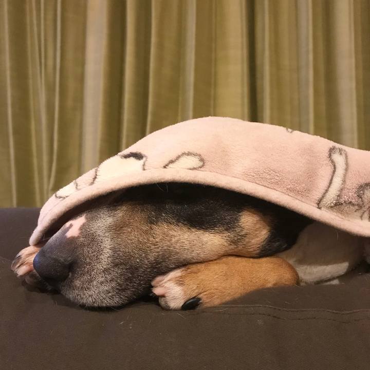 C63764bf 91d2 4081 bdc1 b87c6ab8be01 1524231814107