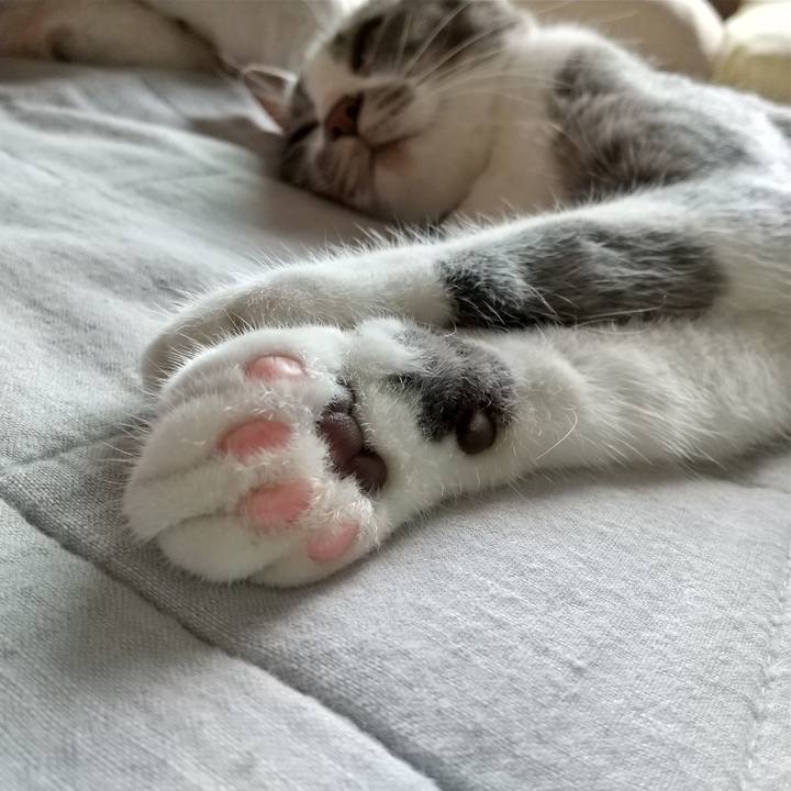 C6378d6f 2199 488b a4f8 5f1703868471 1597616820387