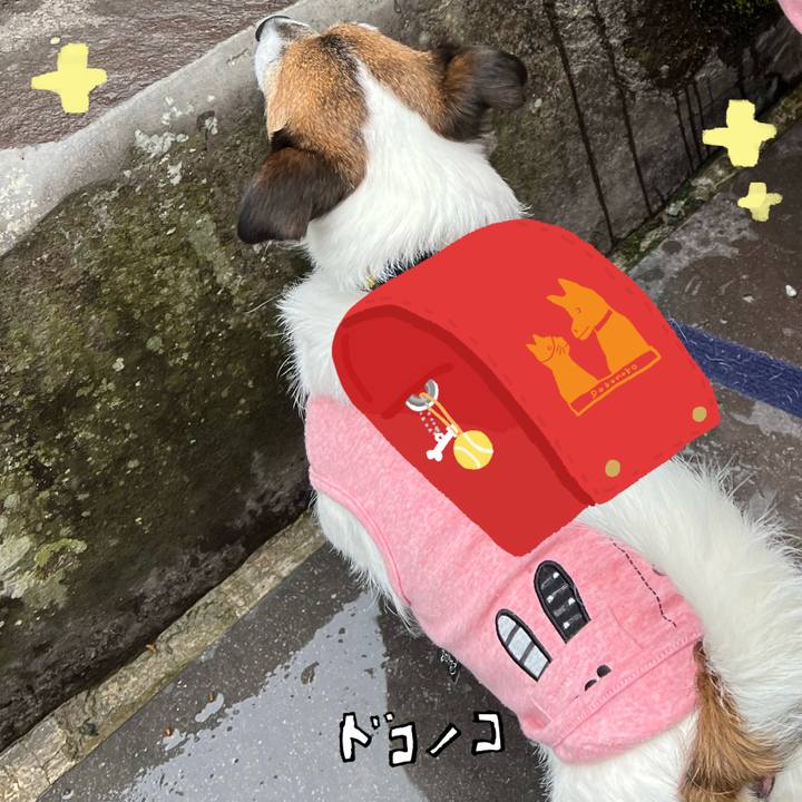 C637b167 3759 4513 9a30 675059915b60 1744709724359