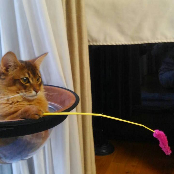 C637e714 c91d 4e6d 9934 7627126a2e45 1580083631937