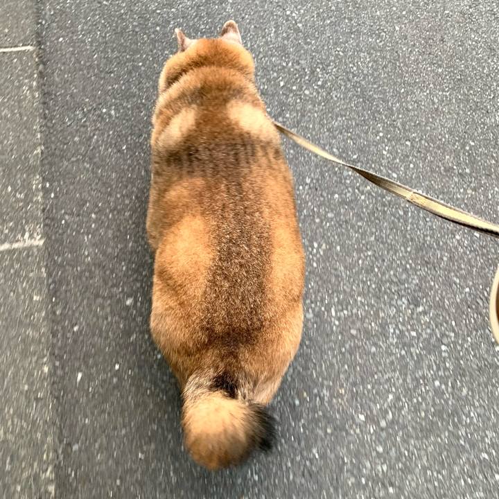 C6383fe6 7d63 4edf ab96 5b55b8ab5f4c 1646831494841