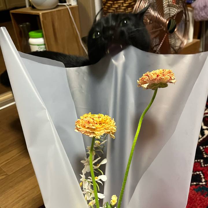 C63840b0 2d83 4403 851b fd44822be75f 1763124212755