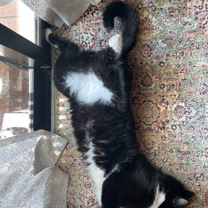 C63855b7 58af 4cbf aee2 00026b0d1d41 1726186261106