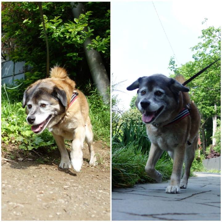 C6385a67 479a 45af a720 ccbbc1eee1ba 1557537199817