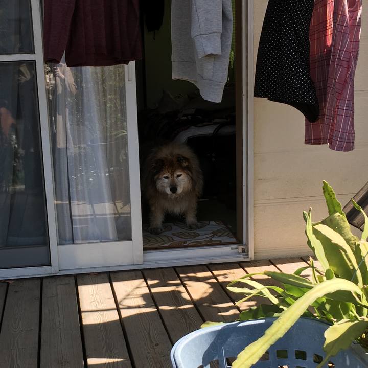 C6388315 2d94 4af2 871c fbff2c742e31 1662721496968