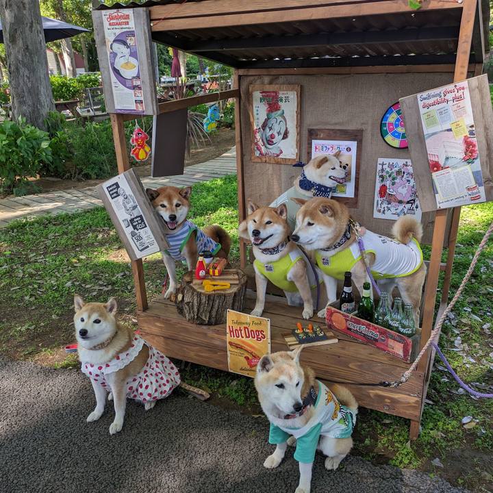 C638881f aa72 4820 8b2d 0bde3a65c8ec 1715584787027